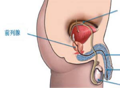延吉出现前列腺的症状？